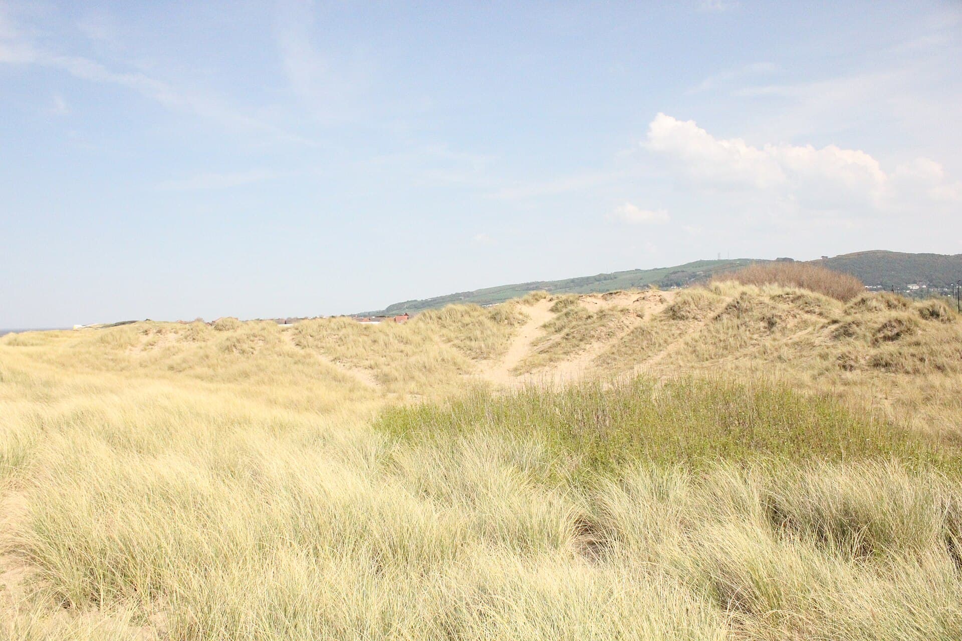 Marram-grass dunes and open sand on the North Wales coast near Prestatyn