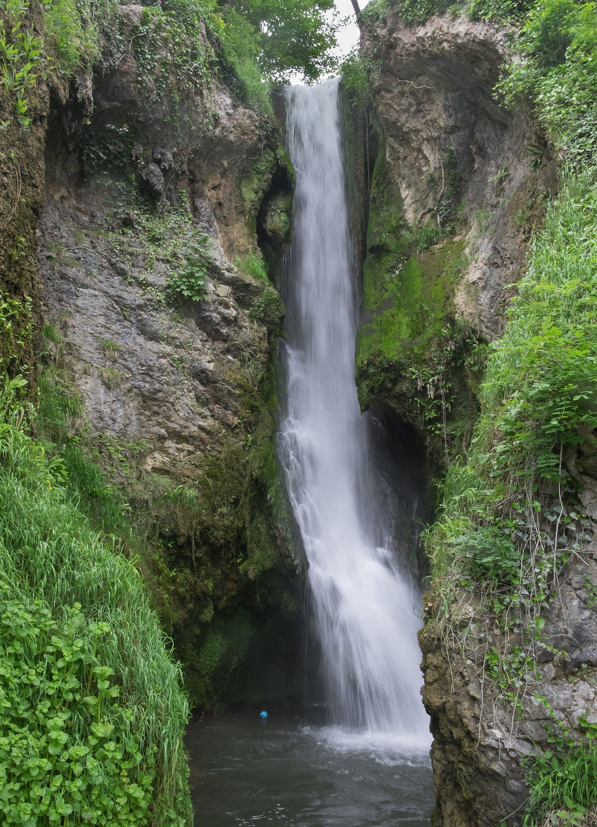 Dyserth Waterfall tumbling down a mossy limestone gorge