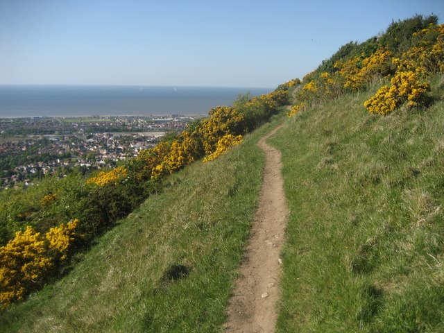 A gorse-lined hillside path on the Offa's Dyke route above Prestatyn, with the sea beyond