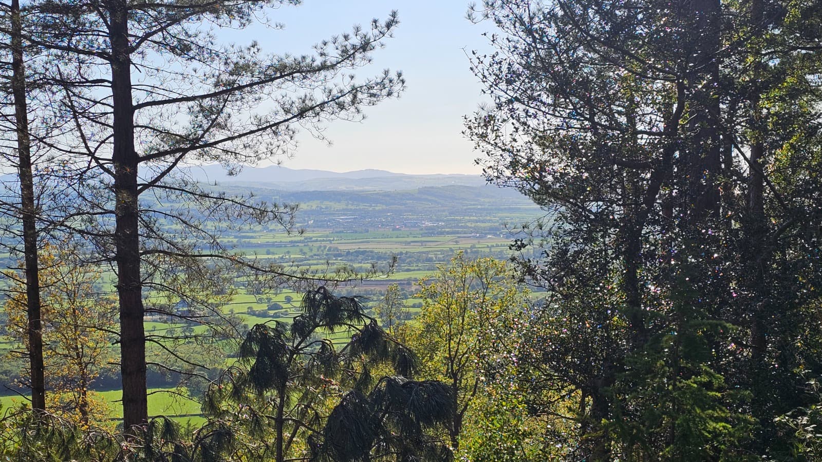 View through pine trees out over the green valley and distant hills near the campsite